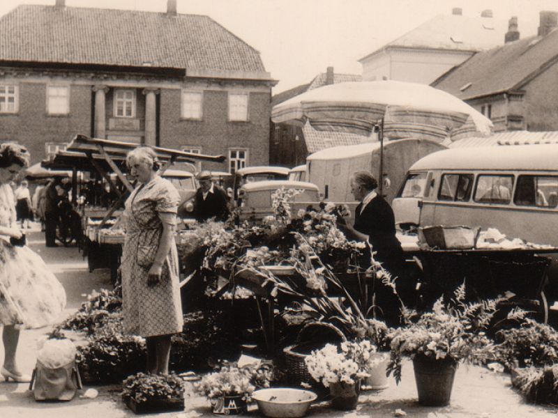 Beginn des Verkaufes von Samen und Pflanzen auf dem Wochenmarkt.