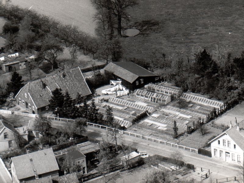 Ständige Erweiterung des eigenen Anbaus von Pflanzen und Stauden, Beginn der Produktion unter Glas.